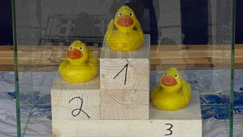 Entenrennen Entenrennen