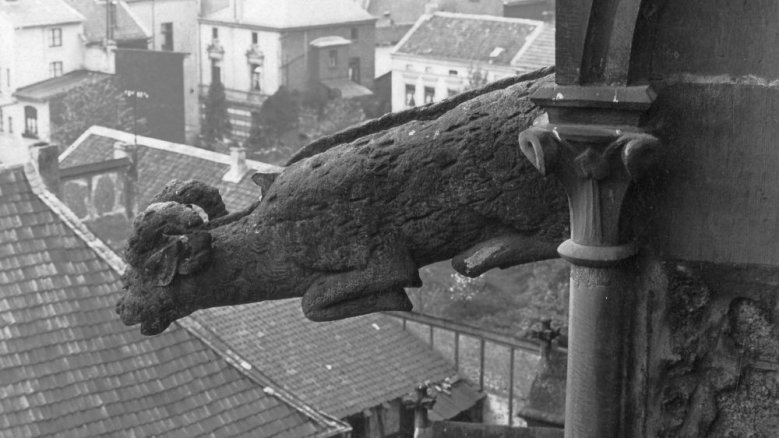„Widderlicher“ Wasserspeier am Servatiuschor, um 1955 „Widderlicher“ Wasserspeier am Servatiuschor, um 1955