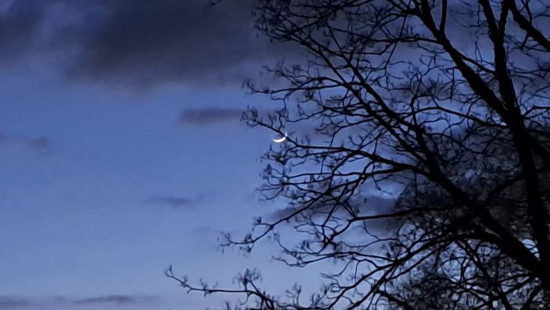 Mond Mond