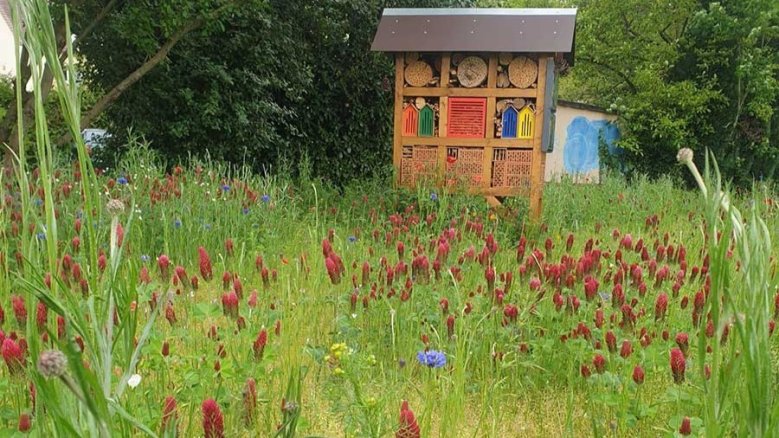 Insektenhotel Kaldauen Insektenhotel Kaldauen