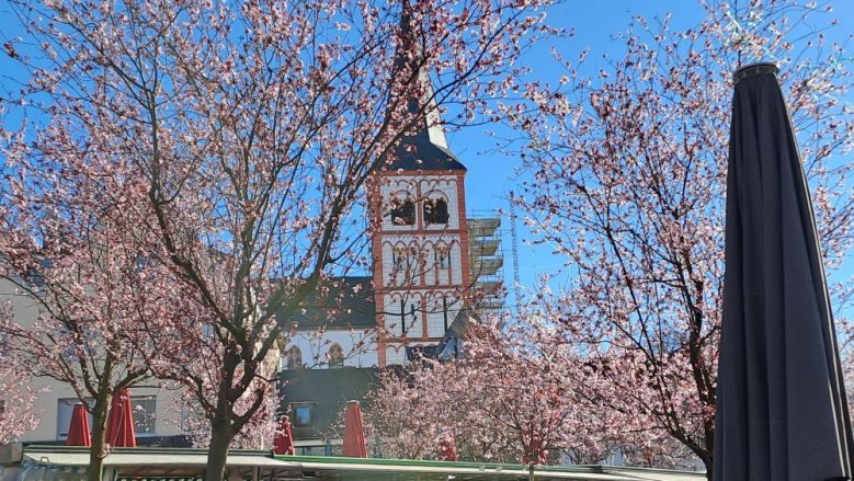 Frühling Frühling