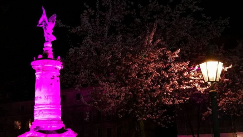 Mark by night Mark by night