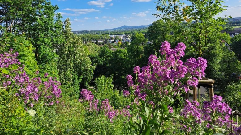 Ölbergblick Ölbergblick
