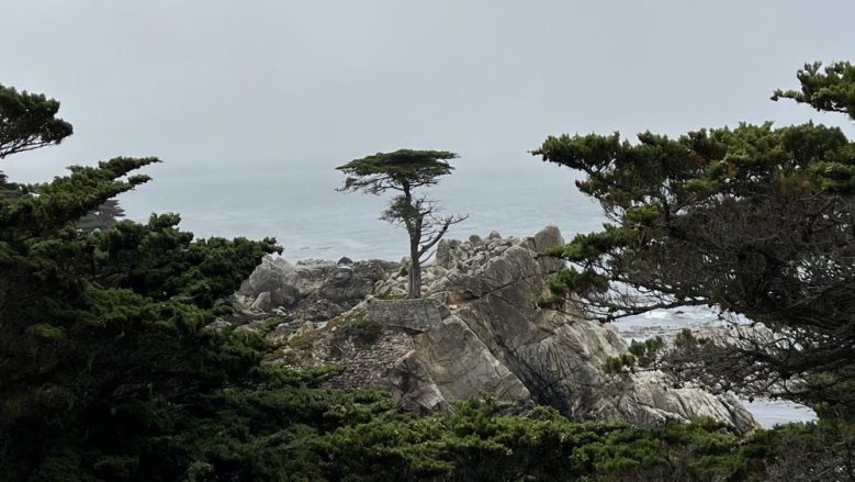 Carmel-by-the-Sea Carmel-by-the-Sea
