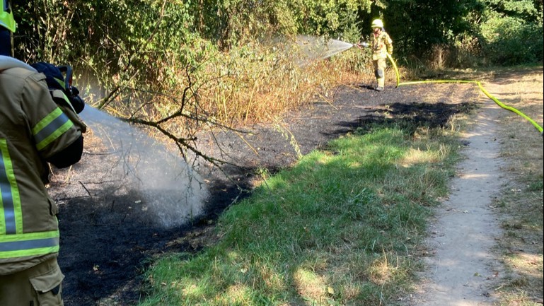 Flächenbrand Aggerbrücke 2022