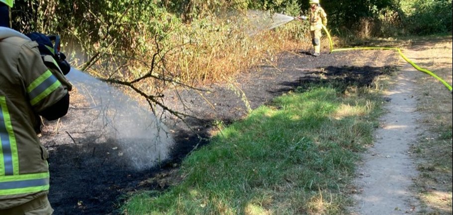 Flächenbrand Aggerbrücke 2022