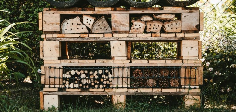 Insektenhotel