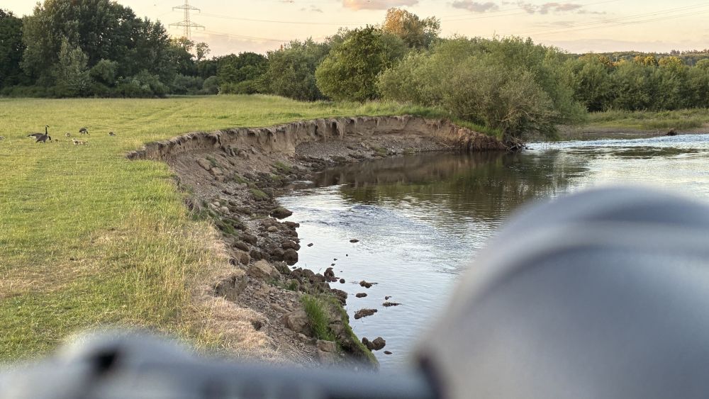 Vogelexkursion Aggeraue