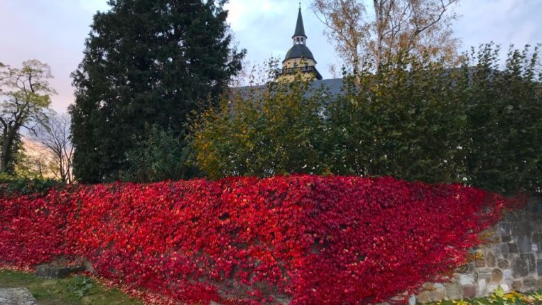 Michaelsberg Michaelsberg