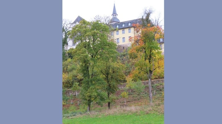 Michaelsberg Michaelsberg