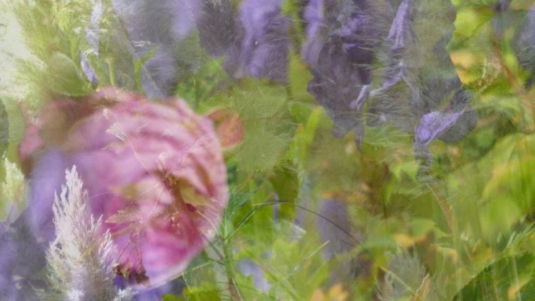 7 Perspektiven Klara Sohlbach