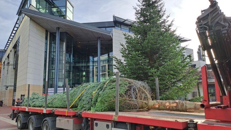 Weihnavchtsbaum Europaplatz