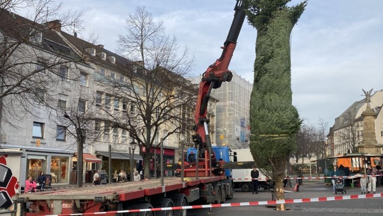 Weihnachtsbaum Markt