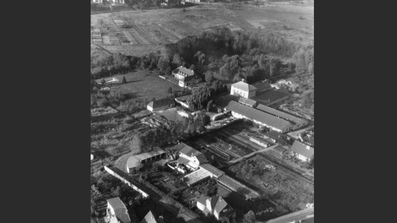 Areal Schwimmbad Areal Schwimmbad