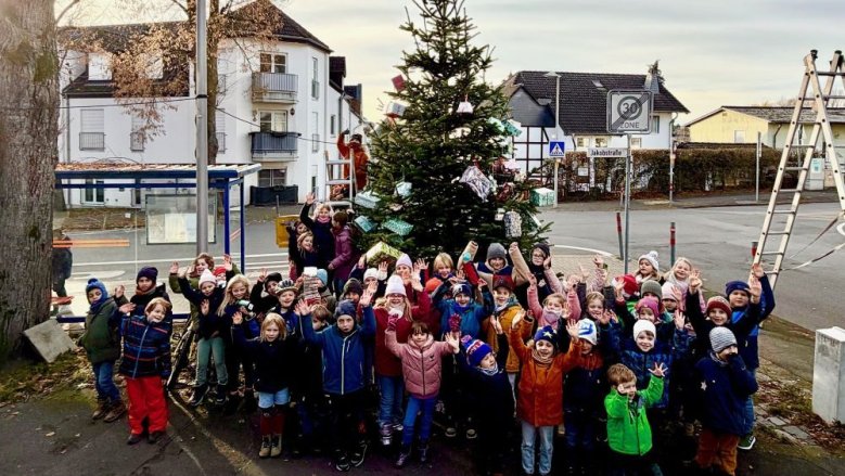 Weihnachtsbaum Rosenhügel
