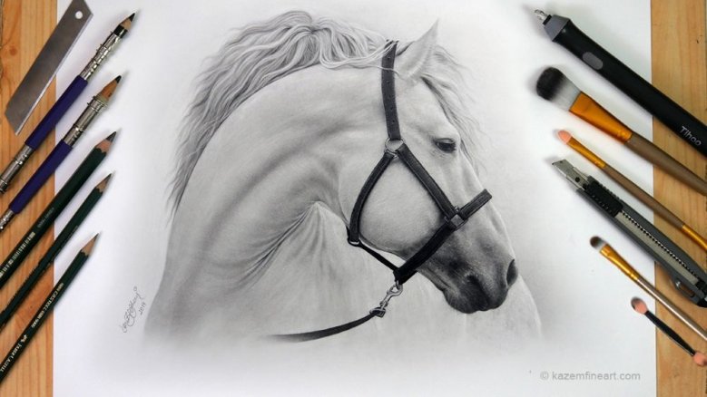 Tierportraits mit Stift und Pinsel Tierportraits mit Stift und Pinsel