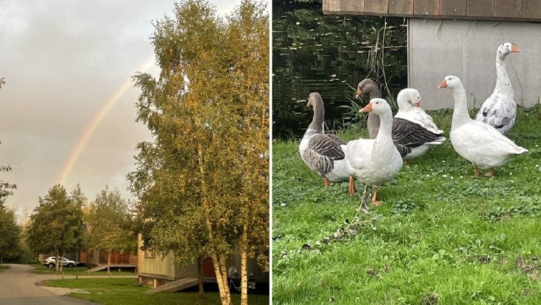 Urlaubsgrüße aus Holland Urlaubsgrüße aus Holland