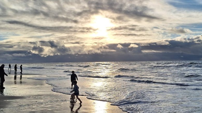 Texel Texel