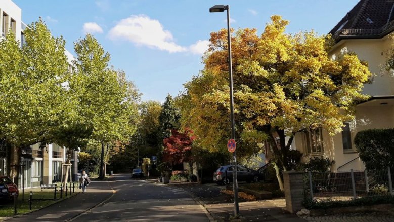 Tierbungertstraße Tierbungertstraße