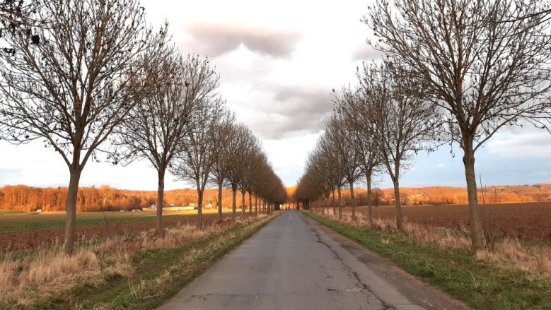 Herbst Herbst