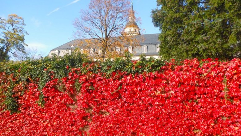 Herbstspaziergang Michaelsberg
