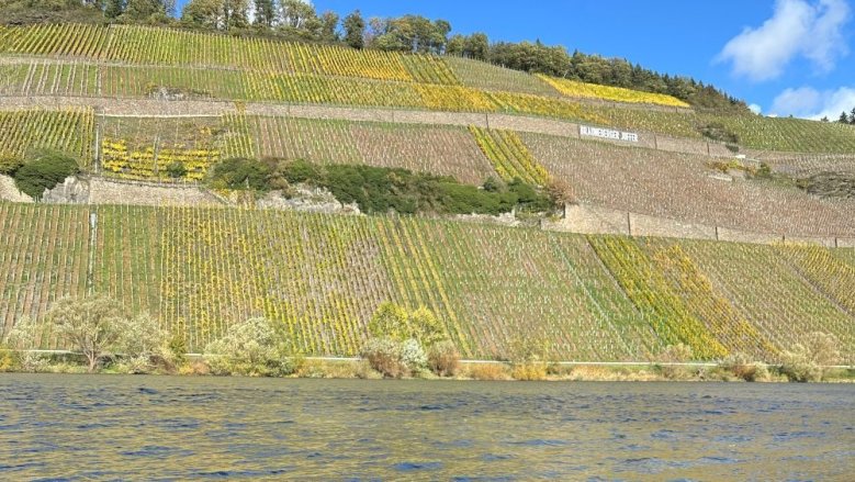 Mosel