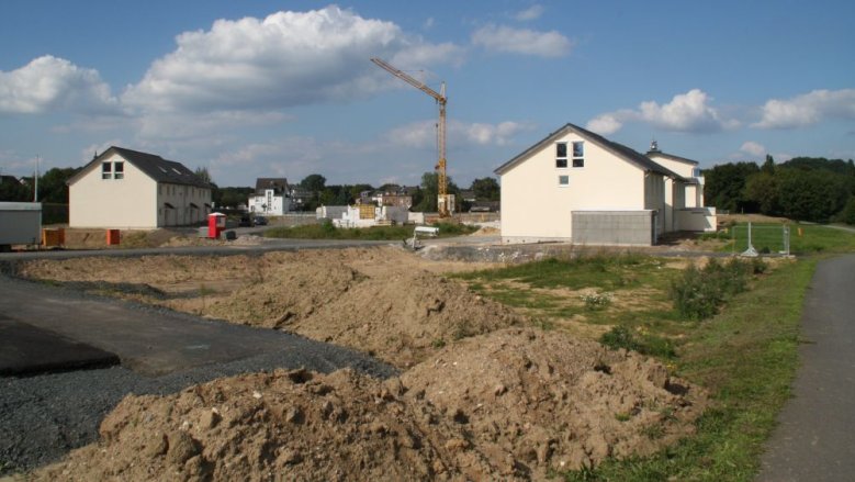 Deichhausauen Deichhausauen