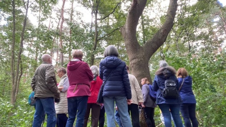Seniorenprogramm Waldspaziergang Seniorenprogramm Waldspaziergang