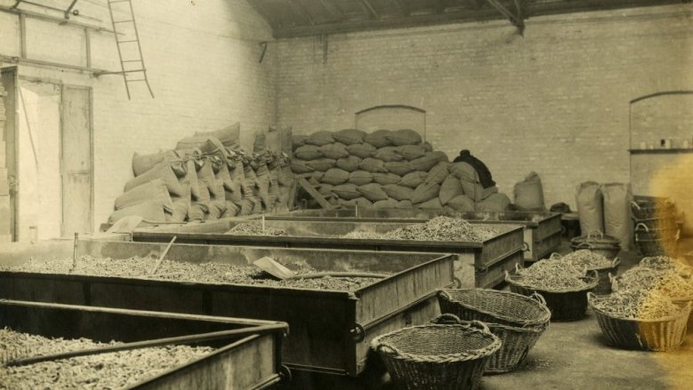 Feuerwerkslaboratorium Feuerwerkslaboratorium