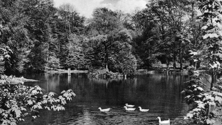 Park am Haus zur Mühlen um 1930 Park am Haus zur Mühlen um 1930
