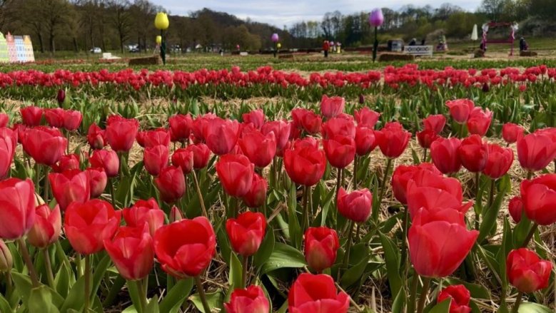 Krewelshof Krewelshof