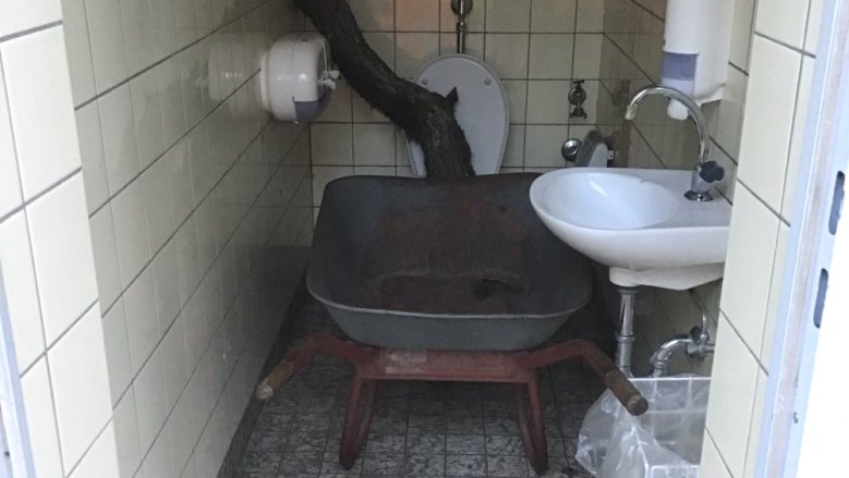 Vandalismus Waldfriedhof Kaldauen Vandalismus Waldfriedhof Kaldauen