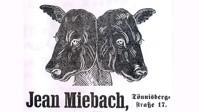 Jean Miebach Kalbskopf Jean Miebach Kalbskopf