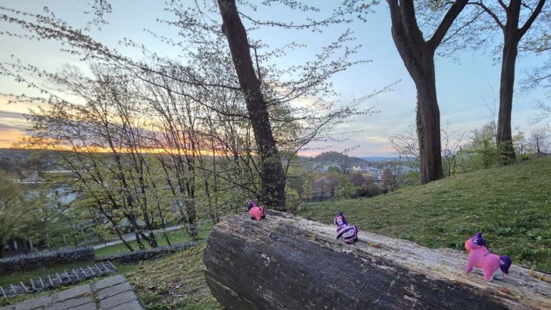 Spardosen mit Aussicht Spardosen mit Aussicht