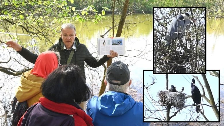 Vogelexkursion Trerichsweiher