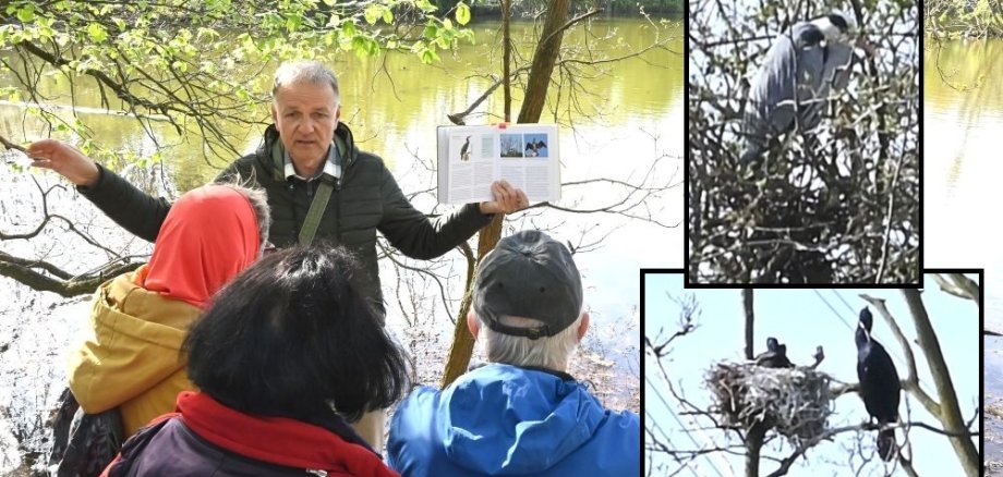 Vogelexkursion Trerichsweiher