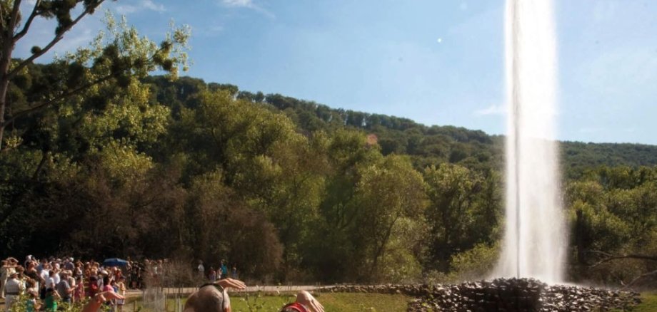 Geysir Andernach