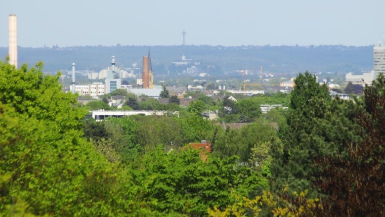 Blick von Medinghoven