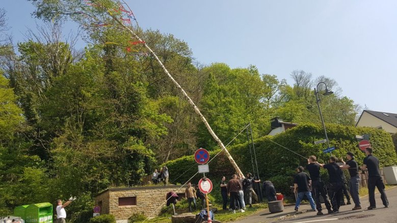 JGV Alt-Wolsdorf Maibaum 2022