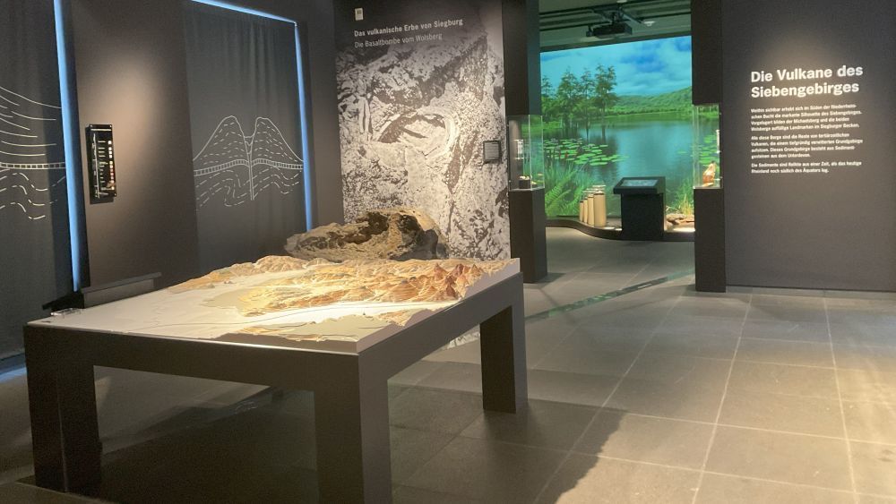 Geologieabteilung Stadtmuseum