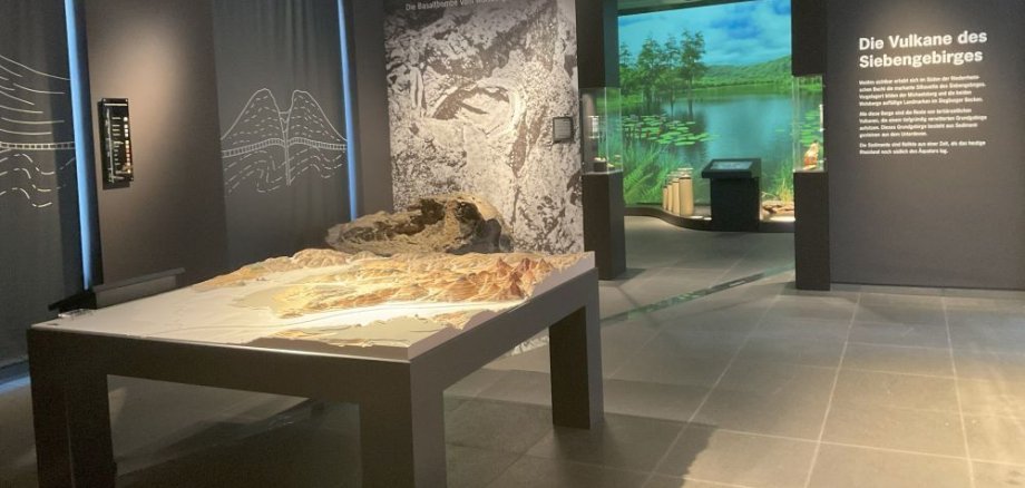 Geologieabteilung Stadtmuseum