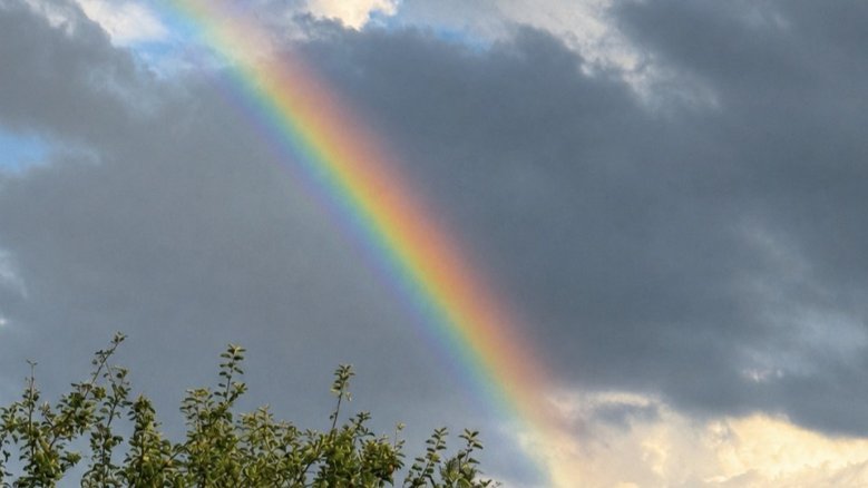 Regenbogen