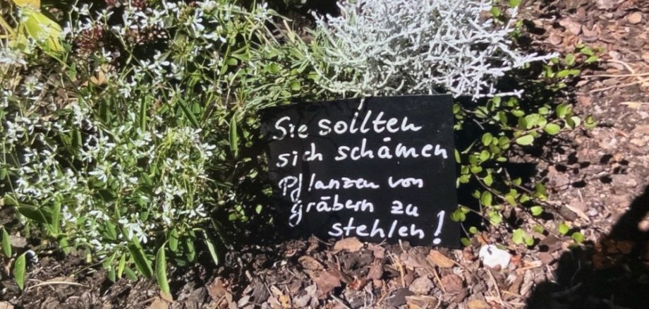 Diebstahl Nordfriedhof Diebstahl Nordfriedhof