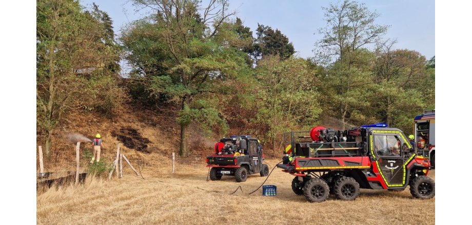 FW Vegetationsbrand Hangelarer Heide