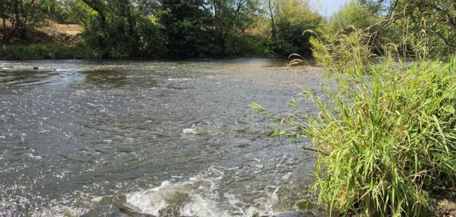 Siegbogen Siegbogen