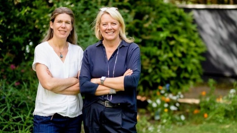 Systemlotsinnen