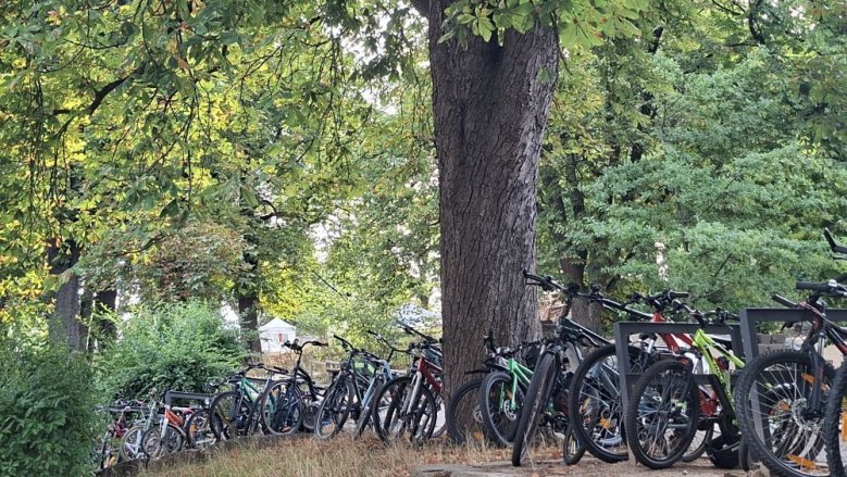 Fahrräder Fahrräder