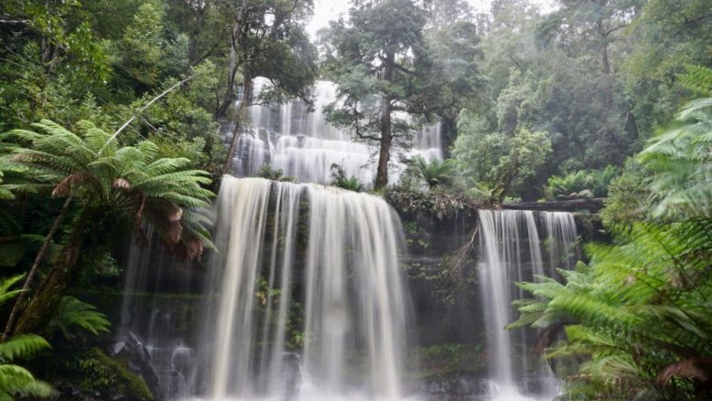 Mount Field National Park