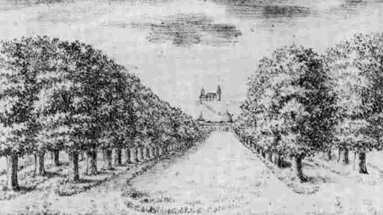 Poppelsdorfer Allee 1820