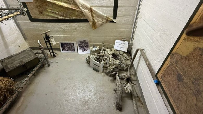 Reservisten Bunker Nörvenich